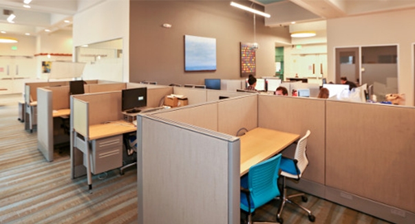 Sunnyvale photo 8