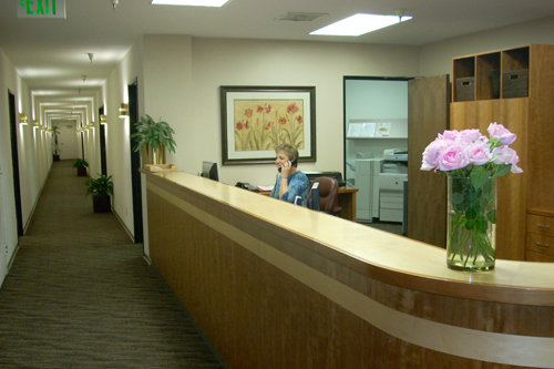 Bay Area Executive Office - 533 Airport Blvd photo 4