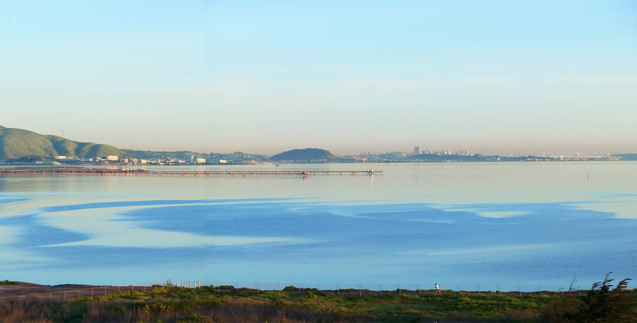 Bay Area Executive Office - 533 Airport Blvd photo 8