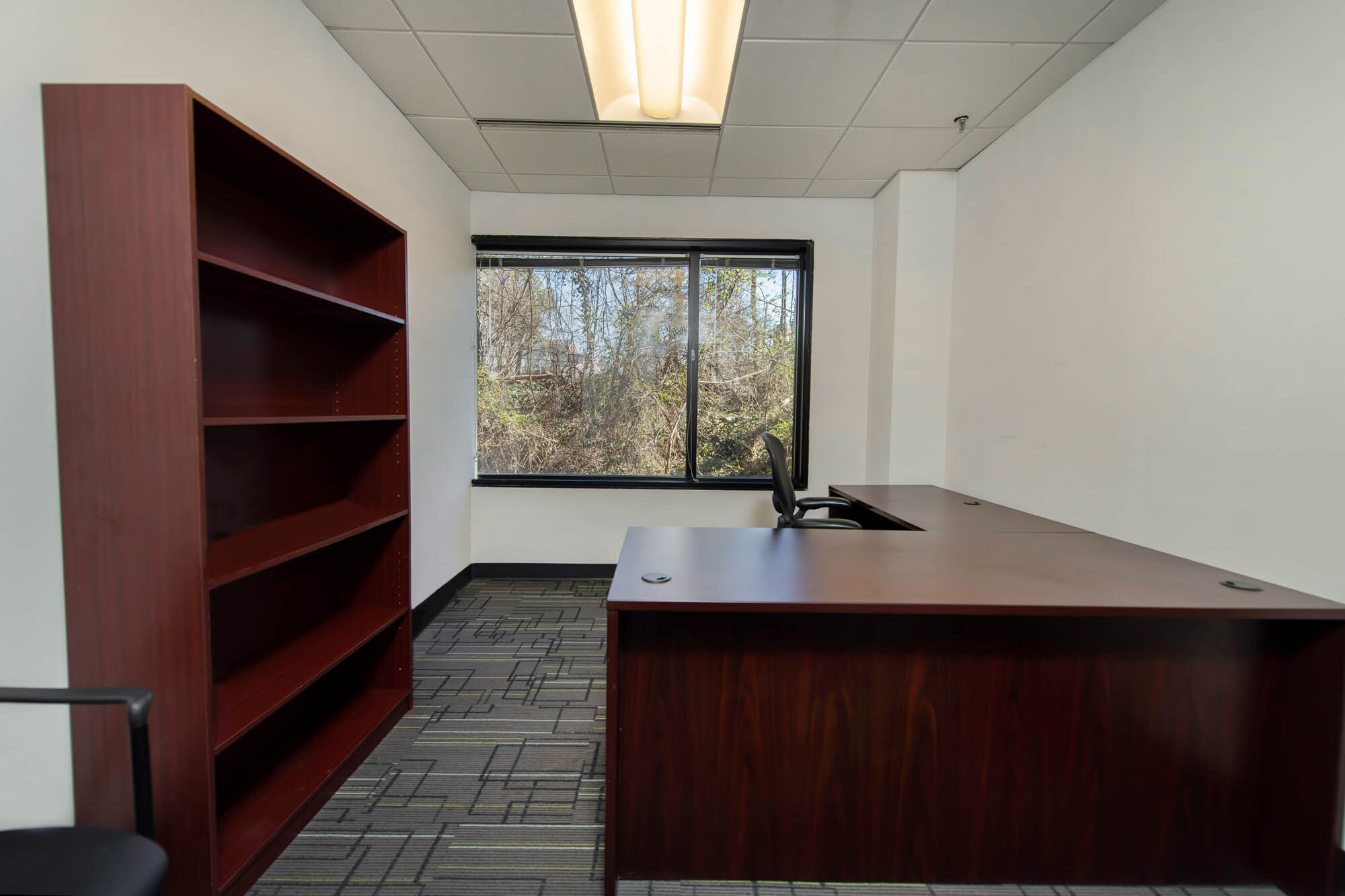 Bethesda - Arlington Road photo 8