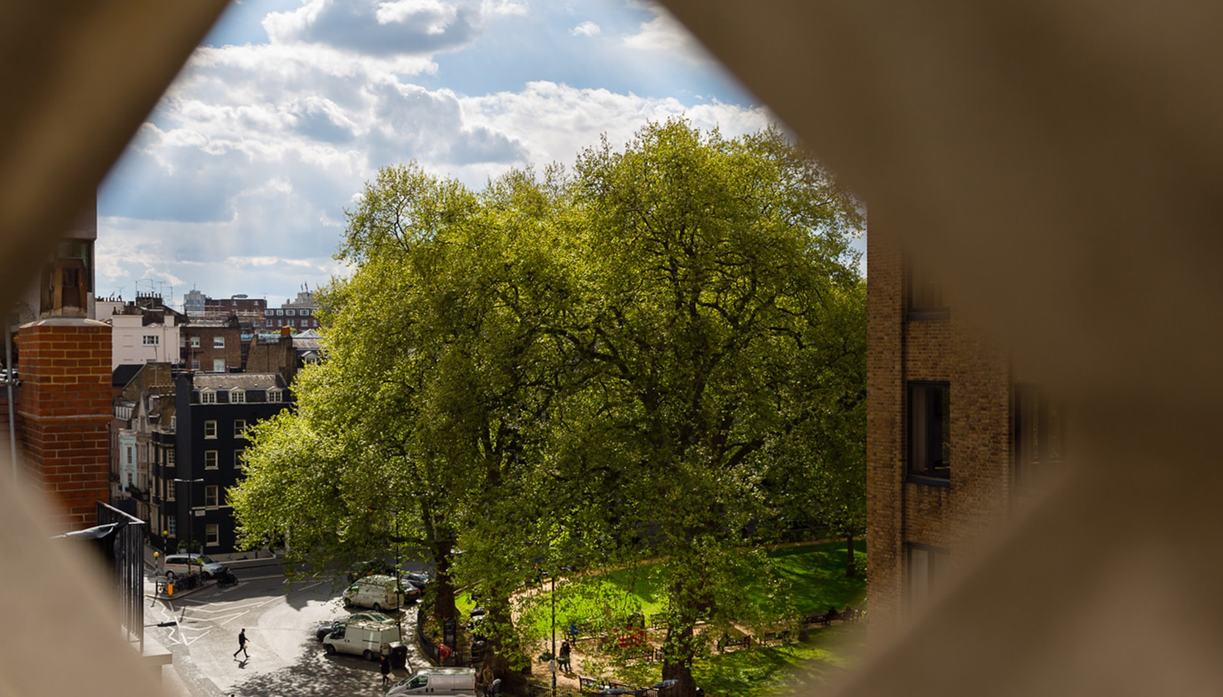 12 Hay Hill photo 6