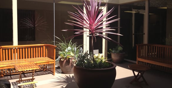 Torrance Executive Plaza 1 photo 6