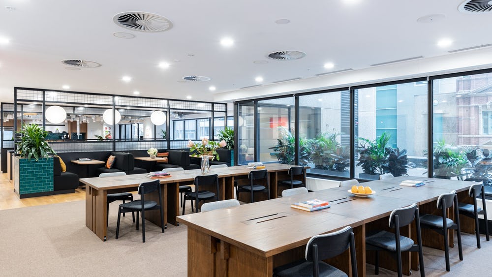 320 Pitt Street photo 7