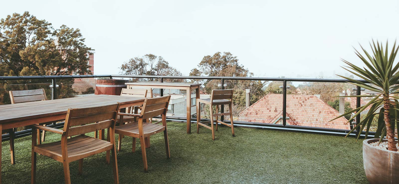 Neutral Bay photo 3