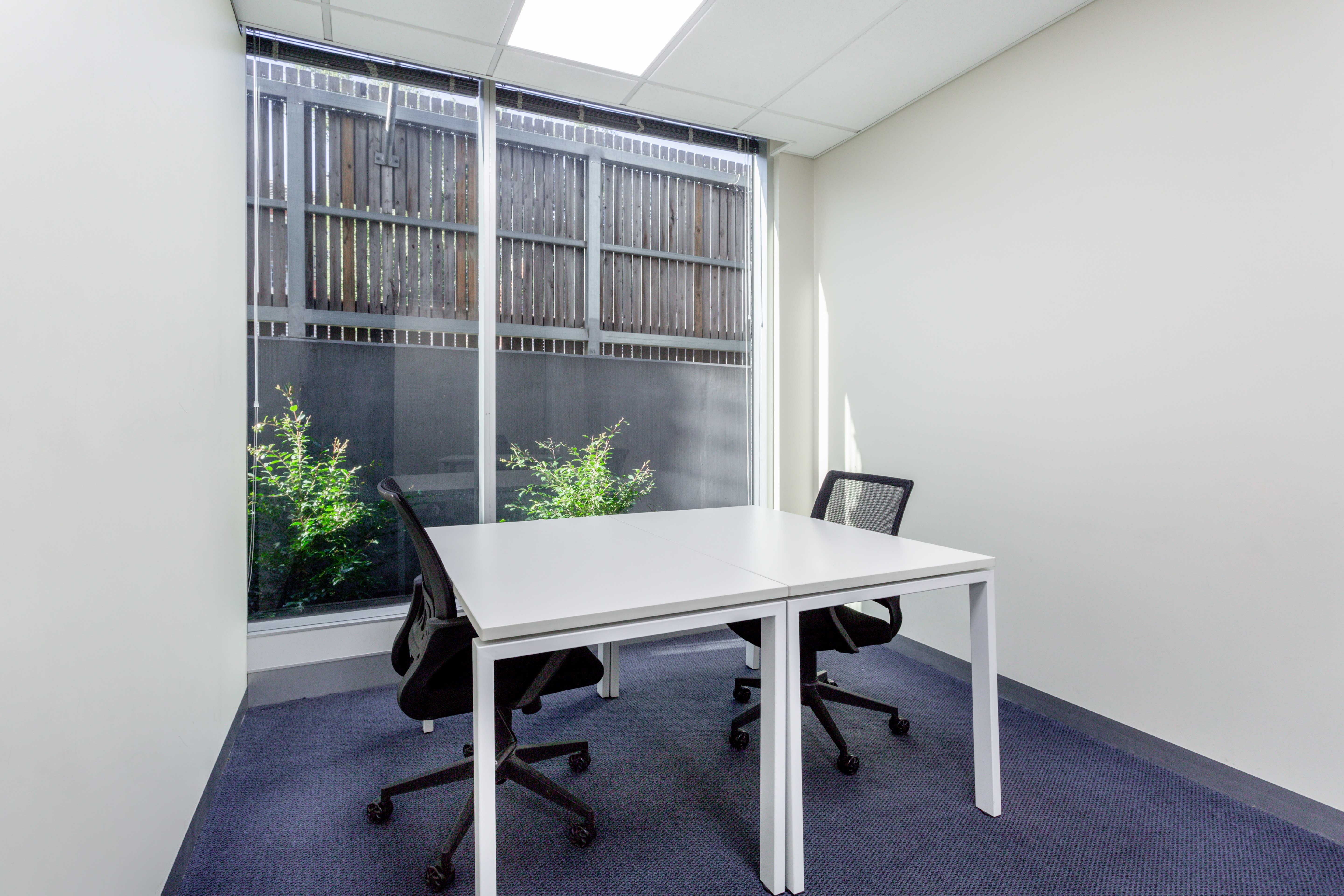 737 Burwood Road photo 4