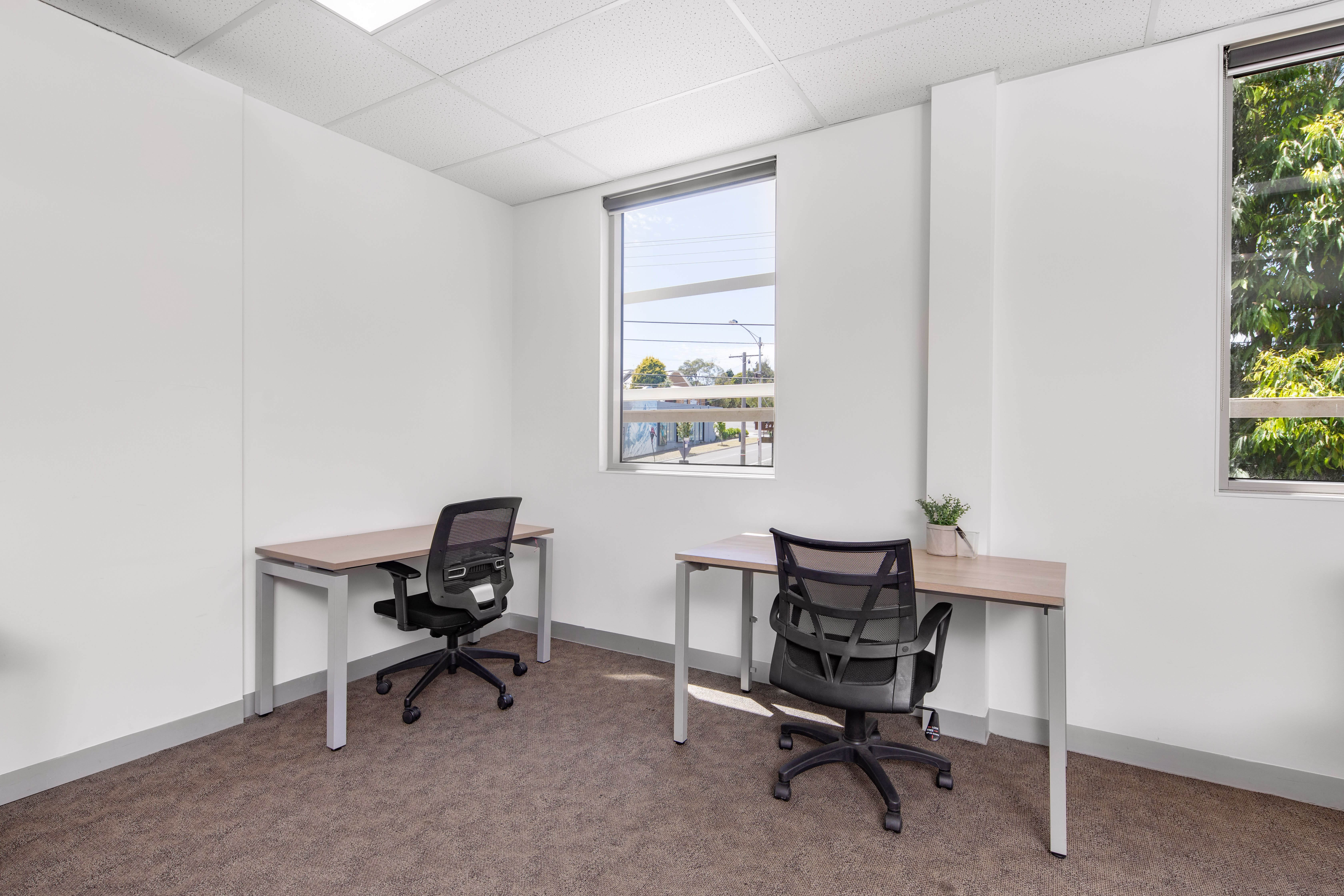 203 Blackburn Road photo 7
