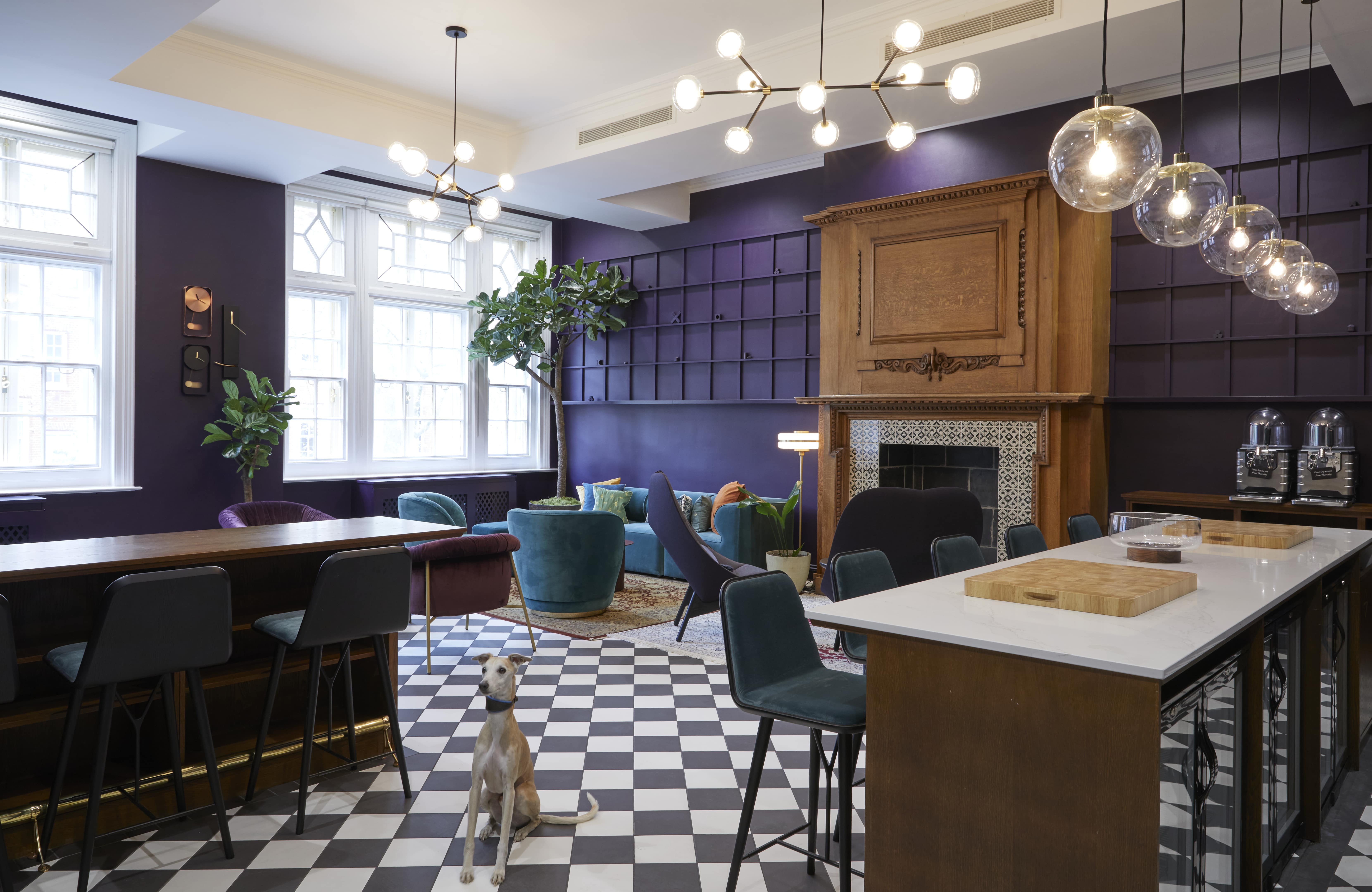 25 Eccleston Place photo 10