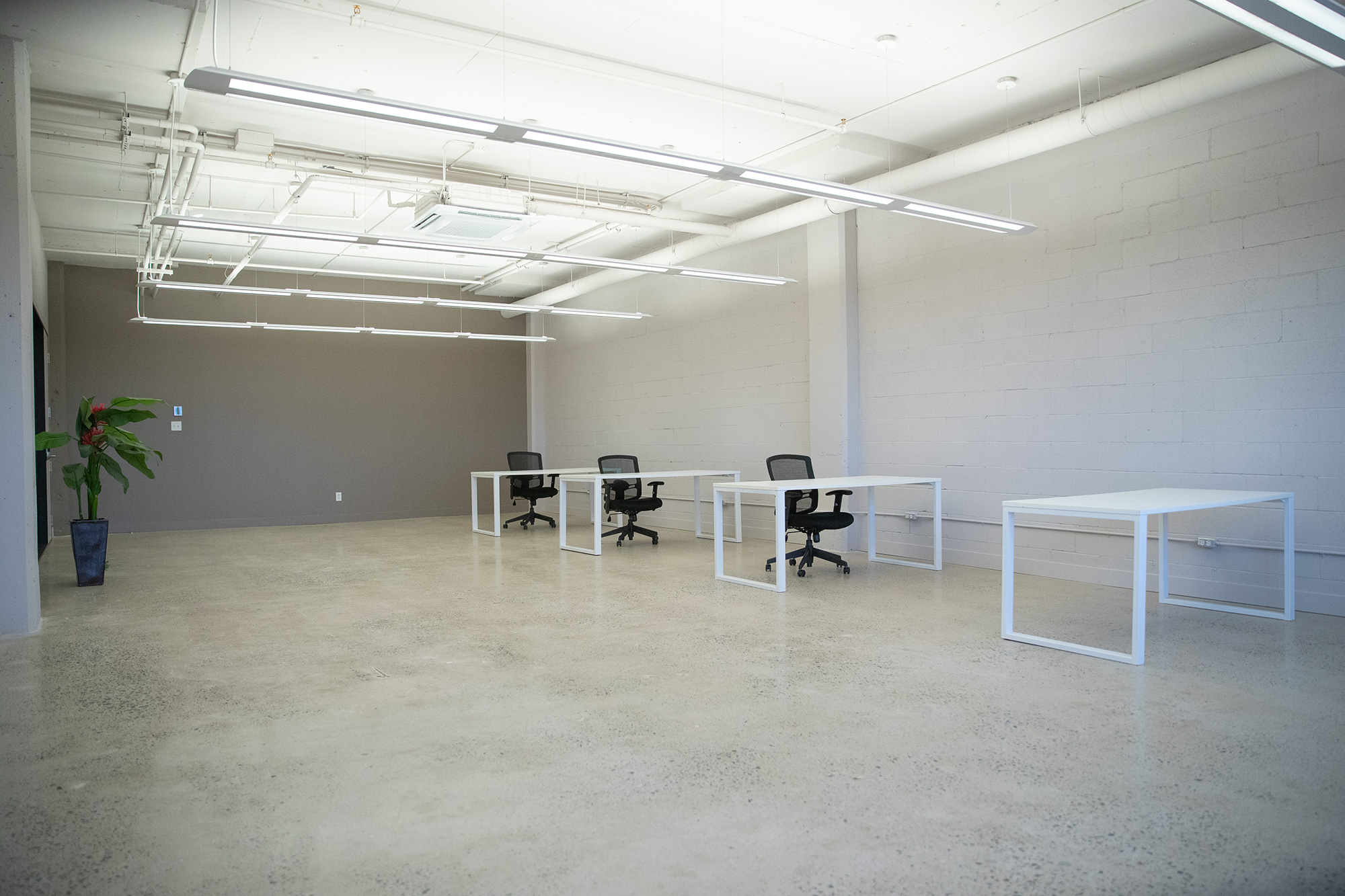 P55 Phase II photo 7