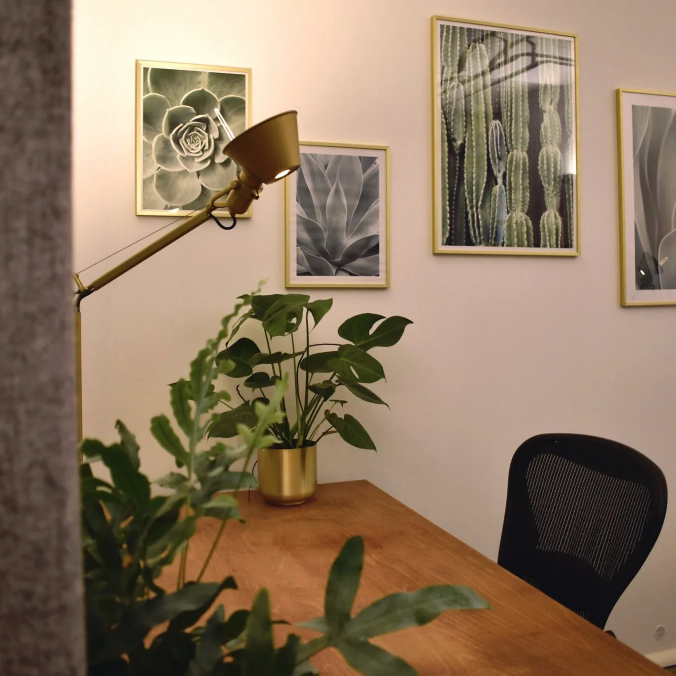 71 Amalienstraße photo 8