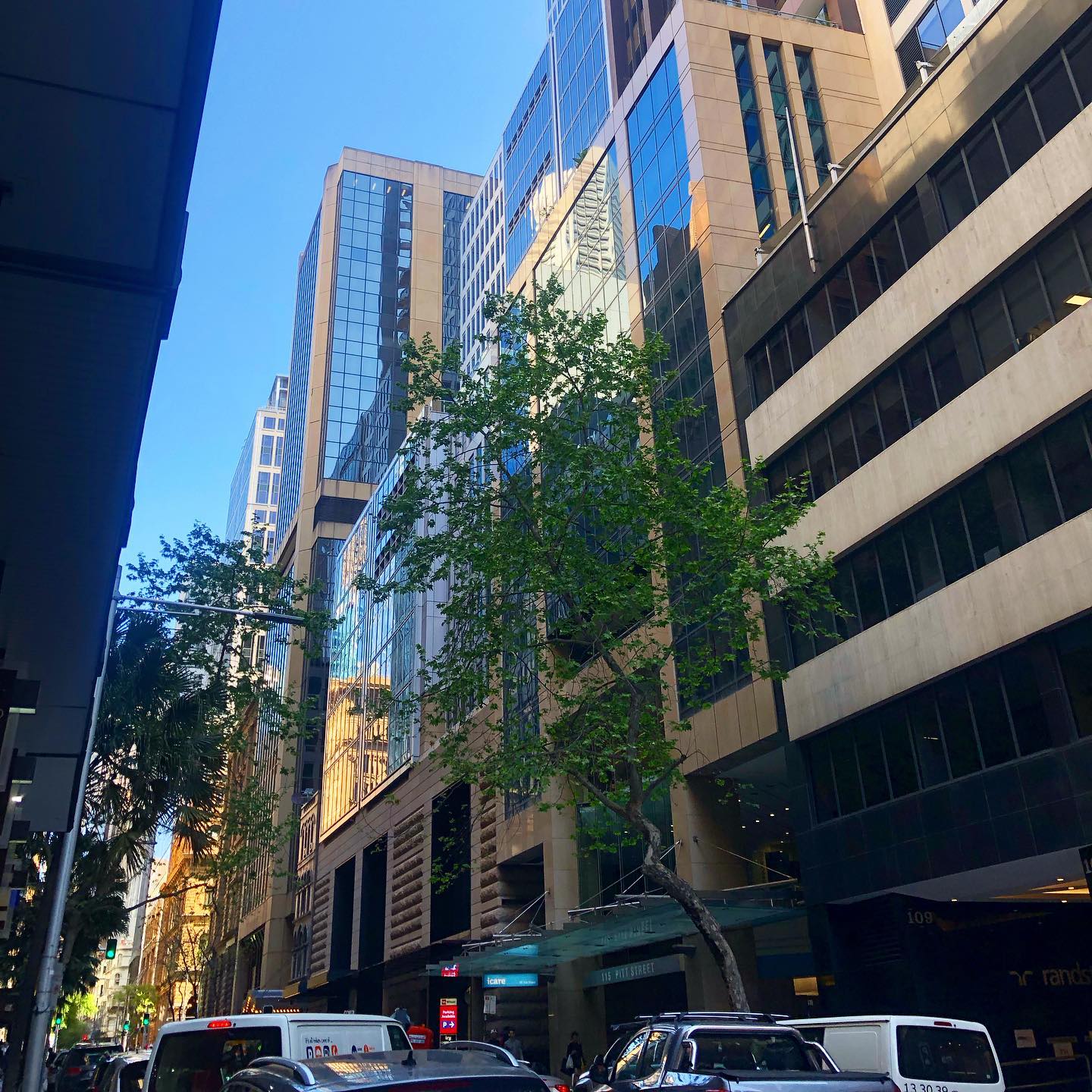 115 Pitt Street photo 4