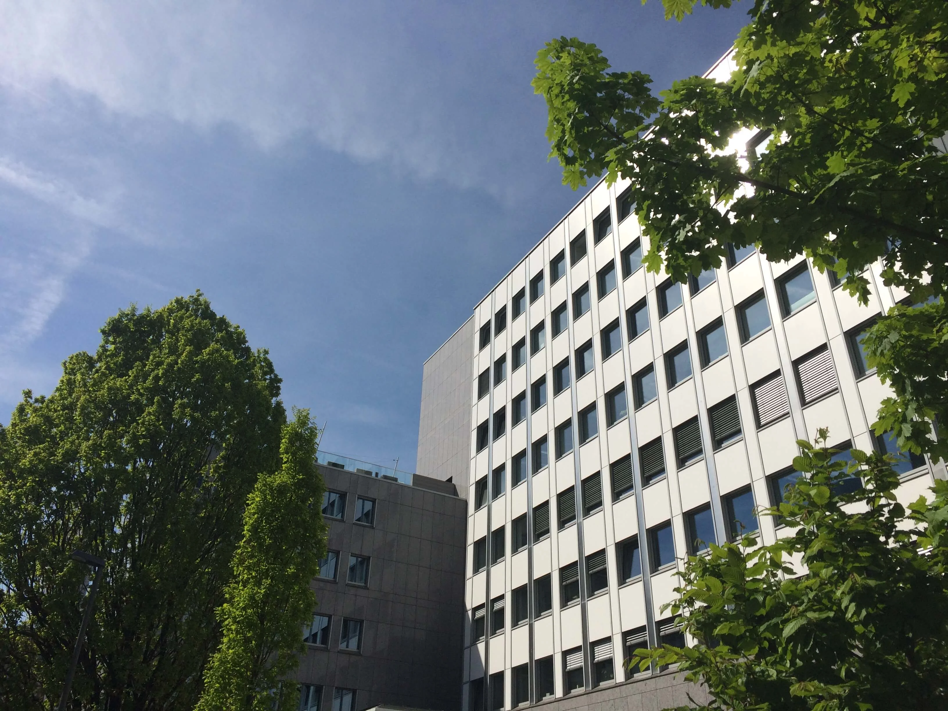 Frankfurt Barckhausstraße