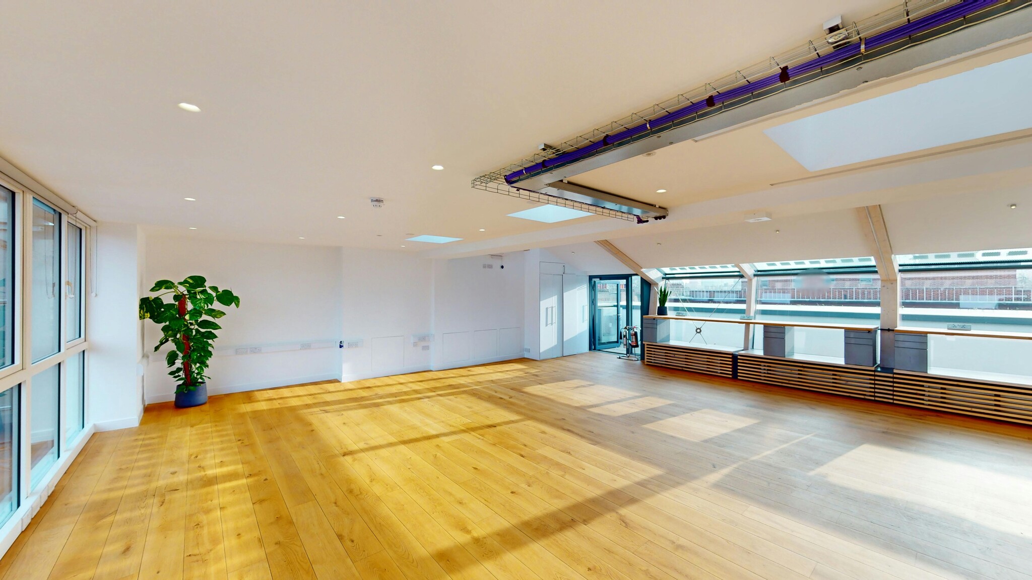 Synergy House photo 9