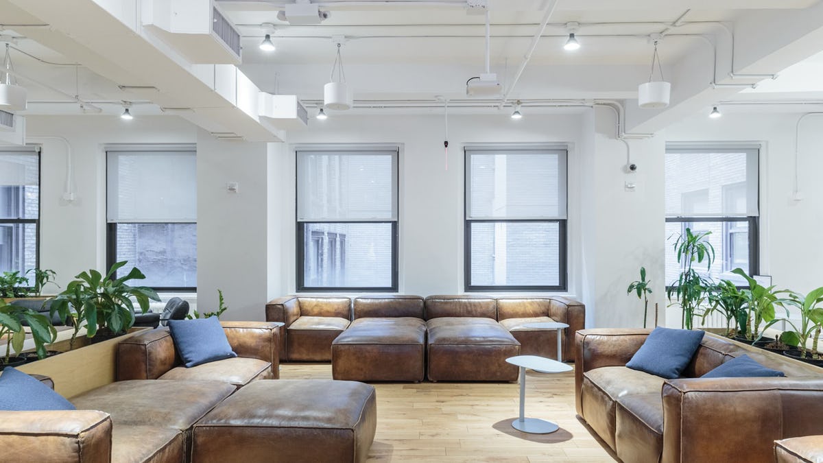 11 Park Place photo 7
