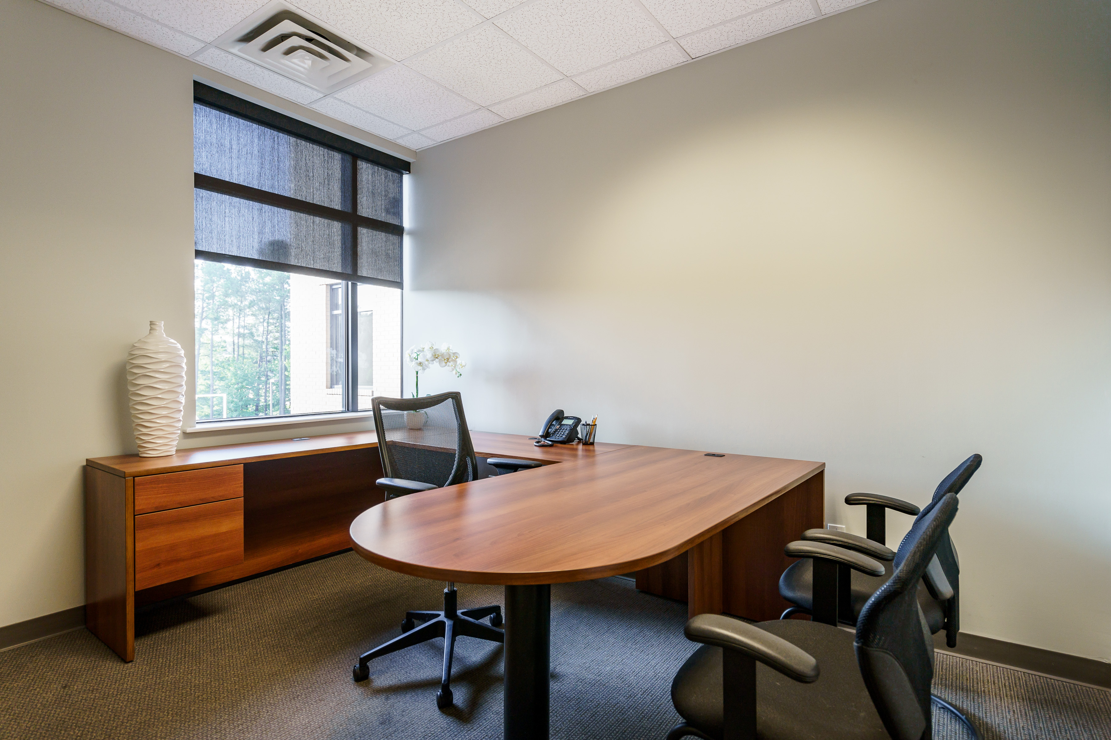 Access Office Business Center photo 5