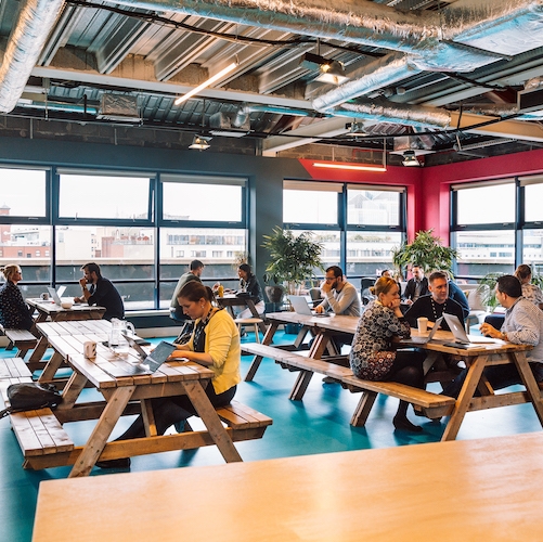 Huckletree D2 photo 5
