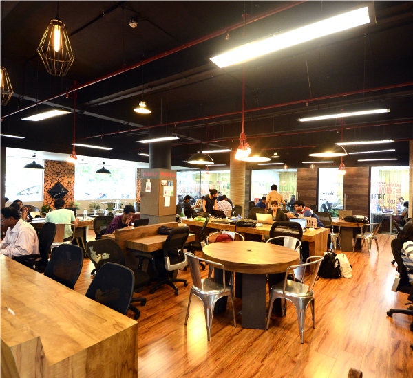Tex centre photo 6