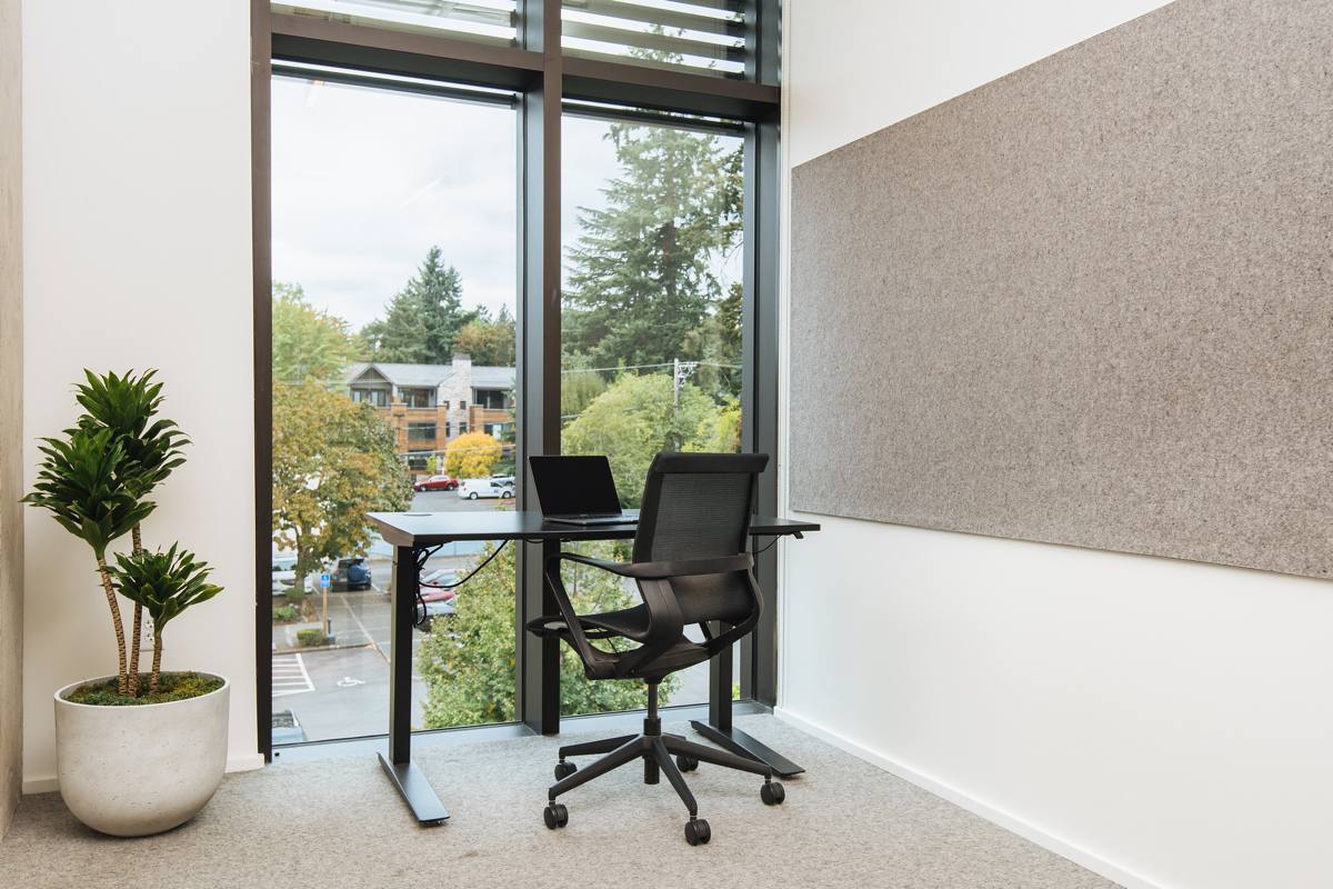 Lake Oswego - Downtown photo 11