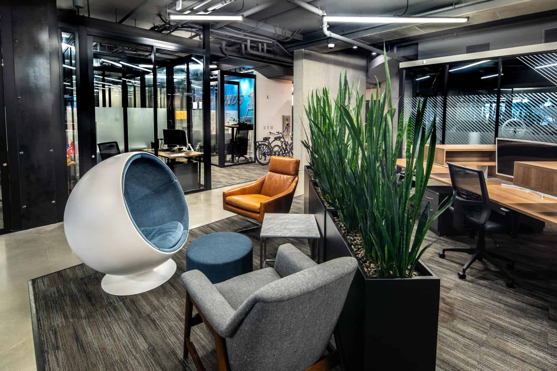 Carlsbad HQ photo 11