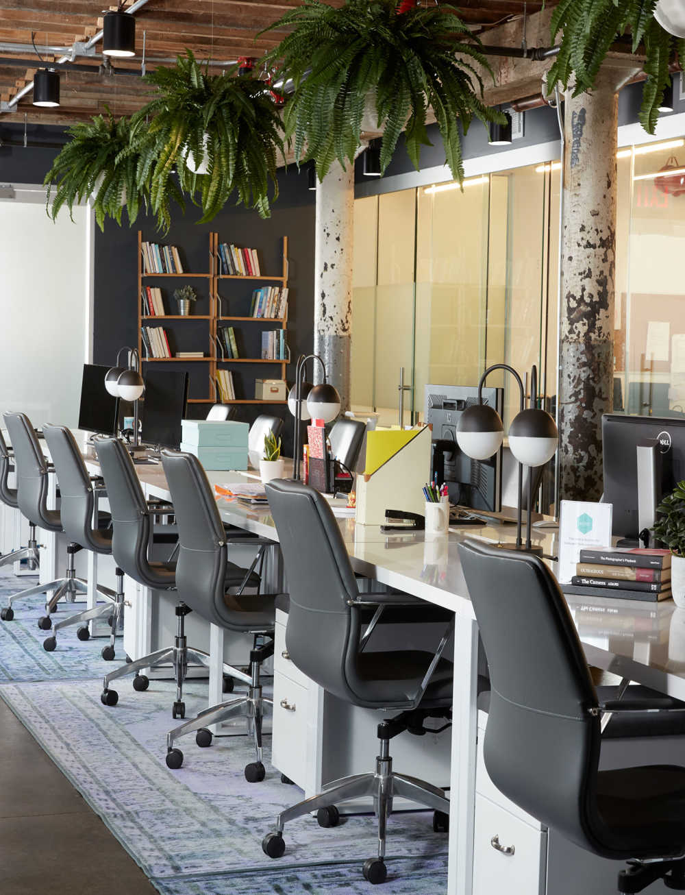 The Loop photo 9
