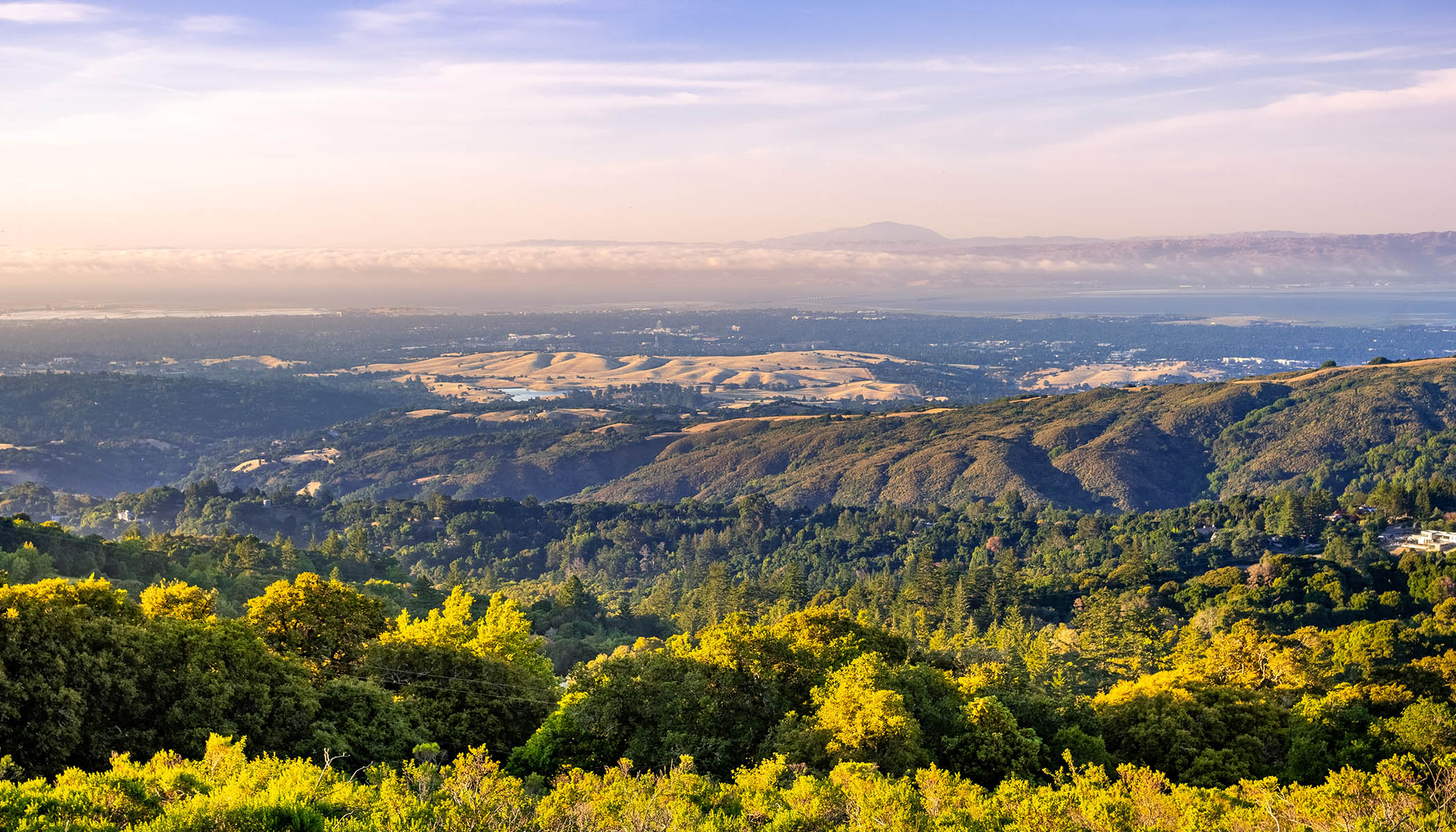 Menlo Park  photo 6