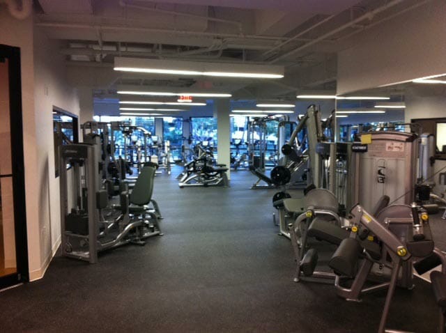 White Plains photo 5
