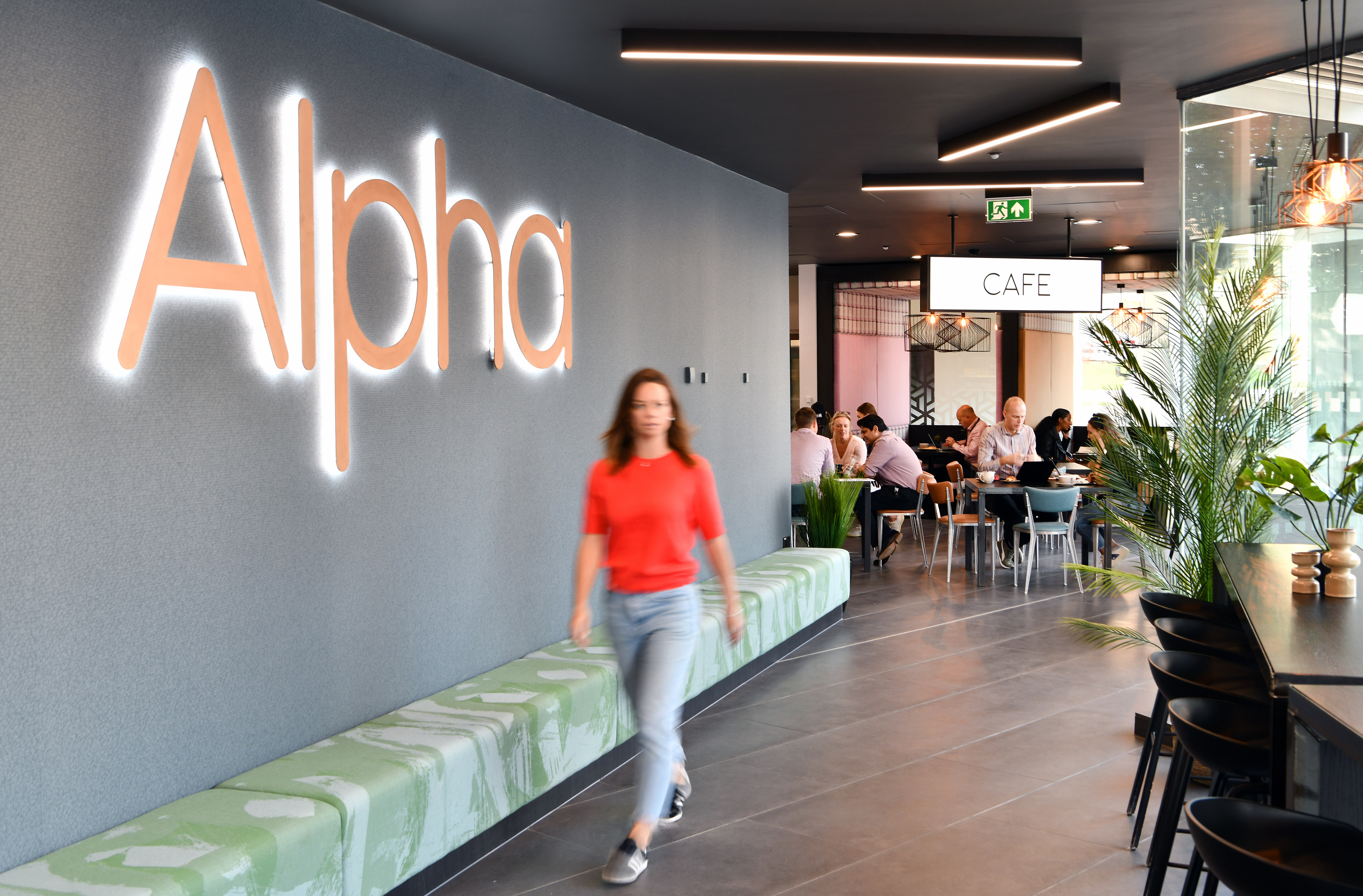 Alpha Studios photo 8