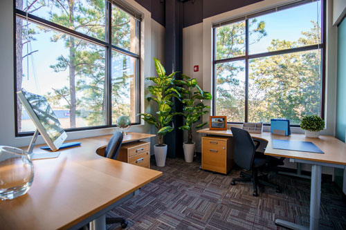Blue Mind Coworking photo 3