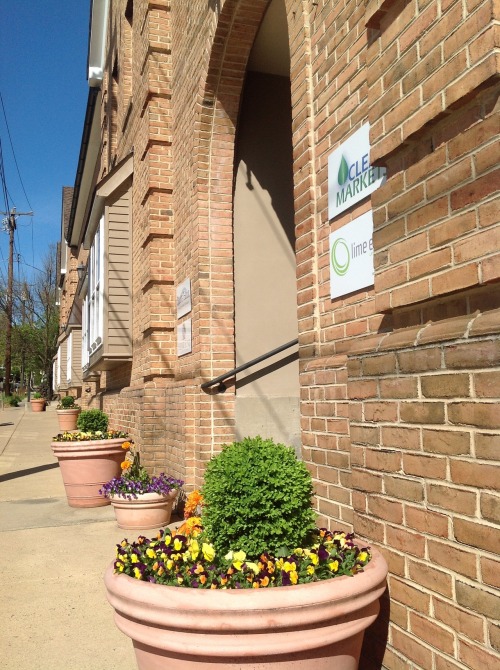 Chestnut Hill photo 4