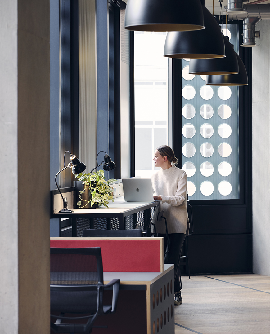 White Collar Factory photo 2