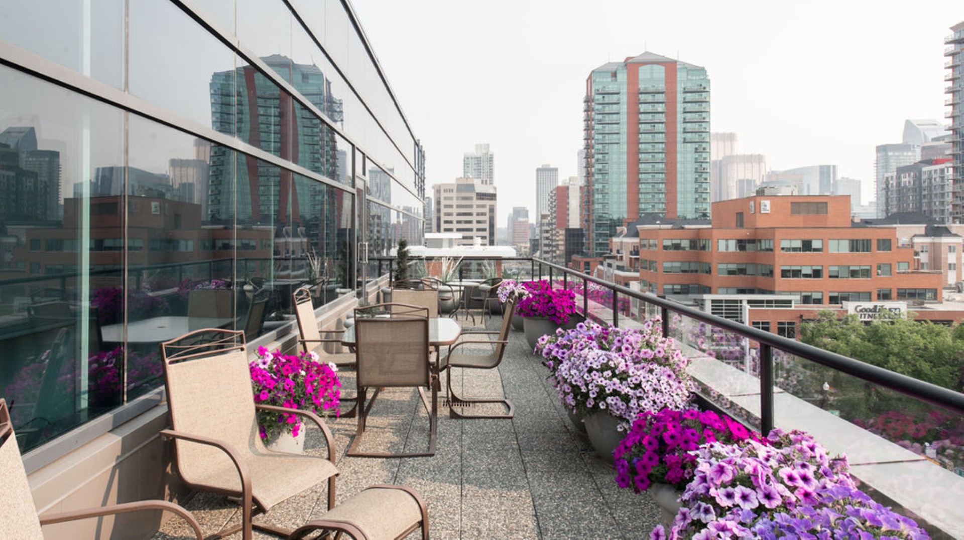Mount Royal Executive Centre ​ photo 7