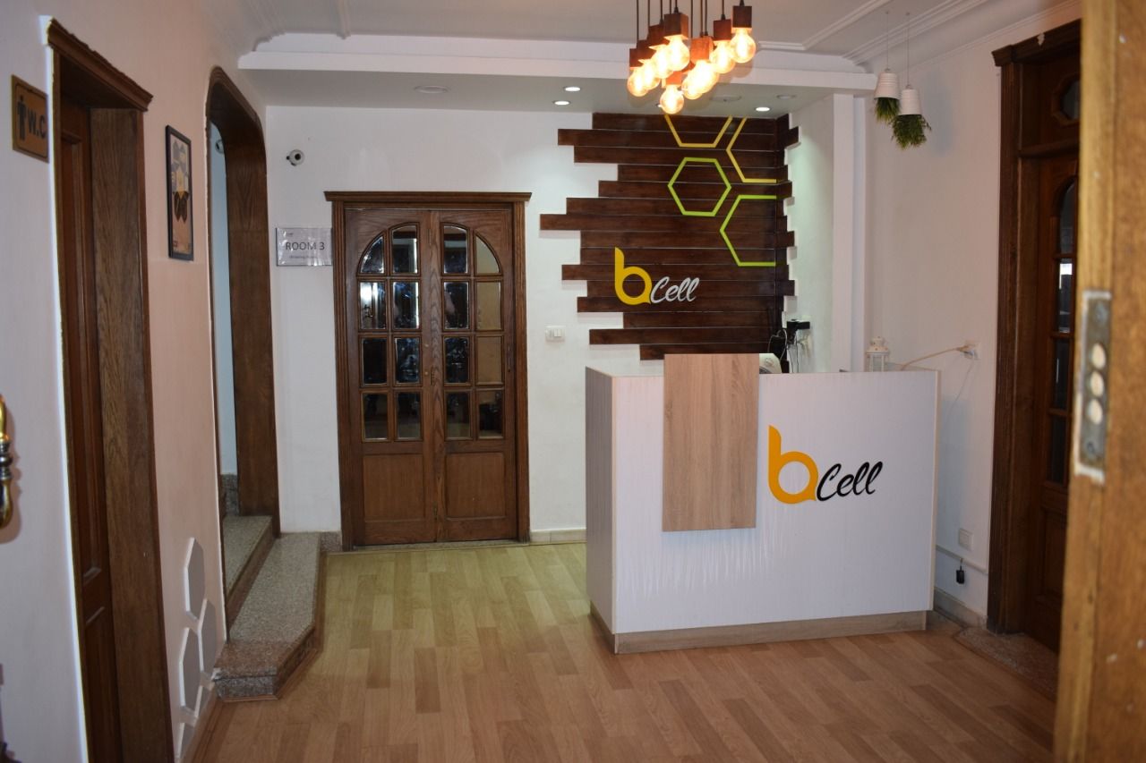 Bee Cell photo 2
