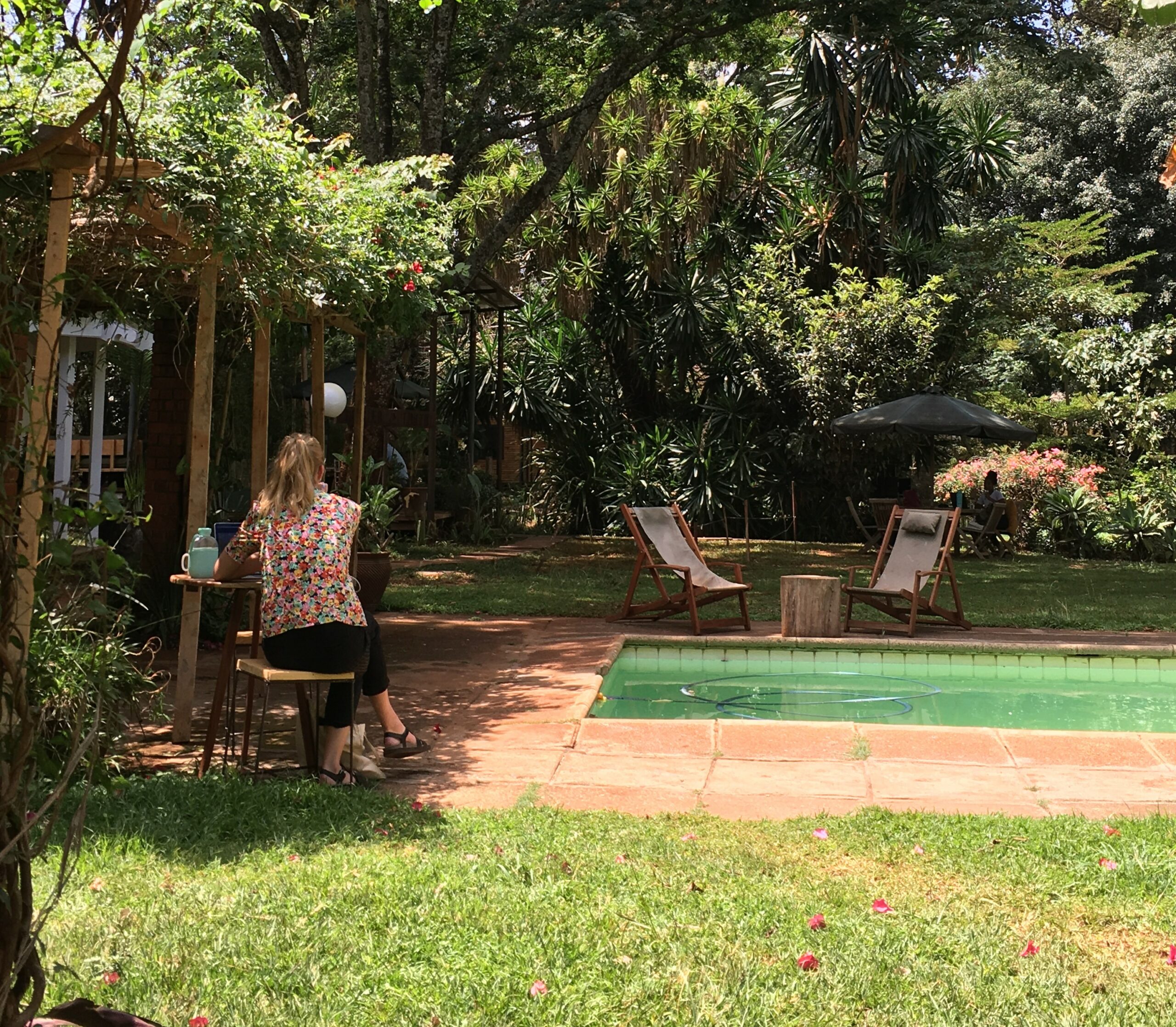 Westlands photo 3