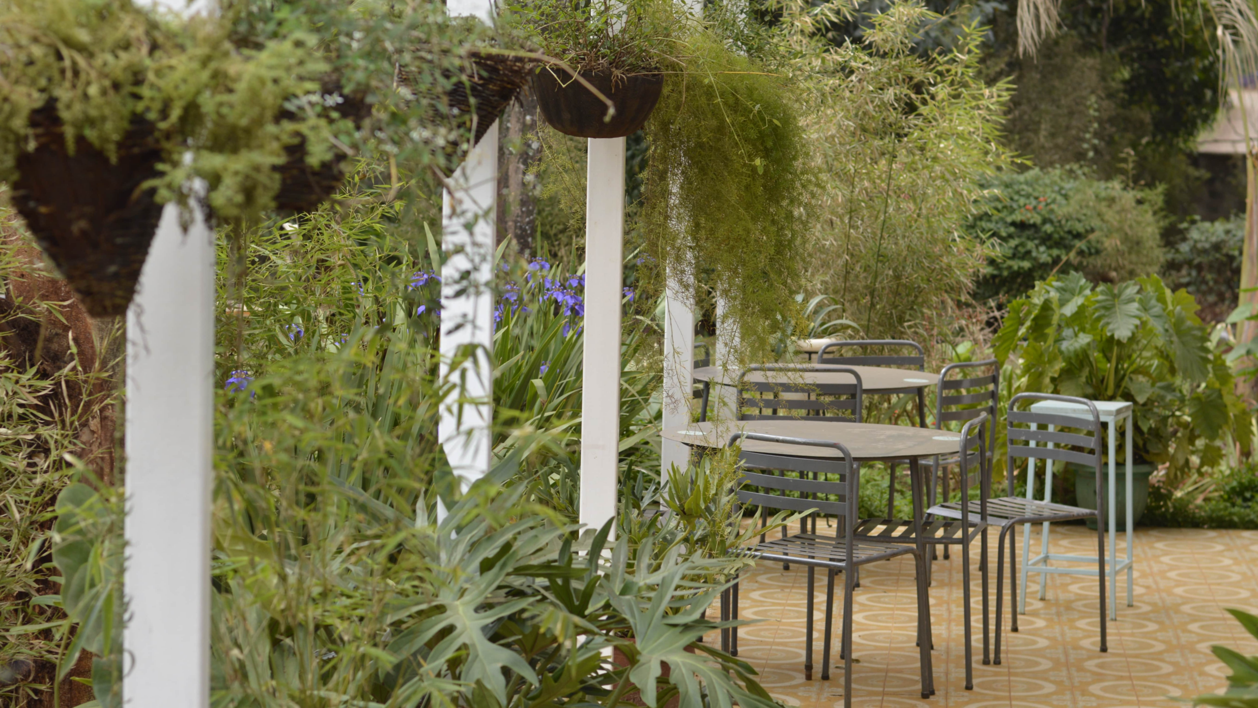 Westlands photo 4