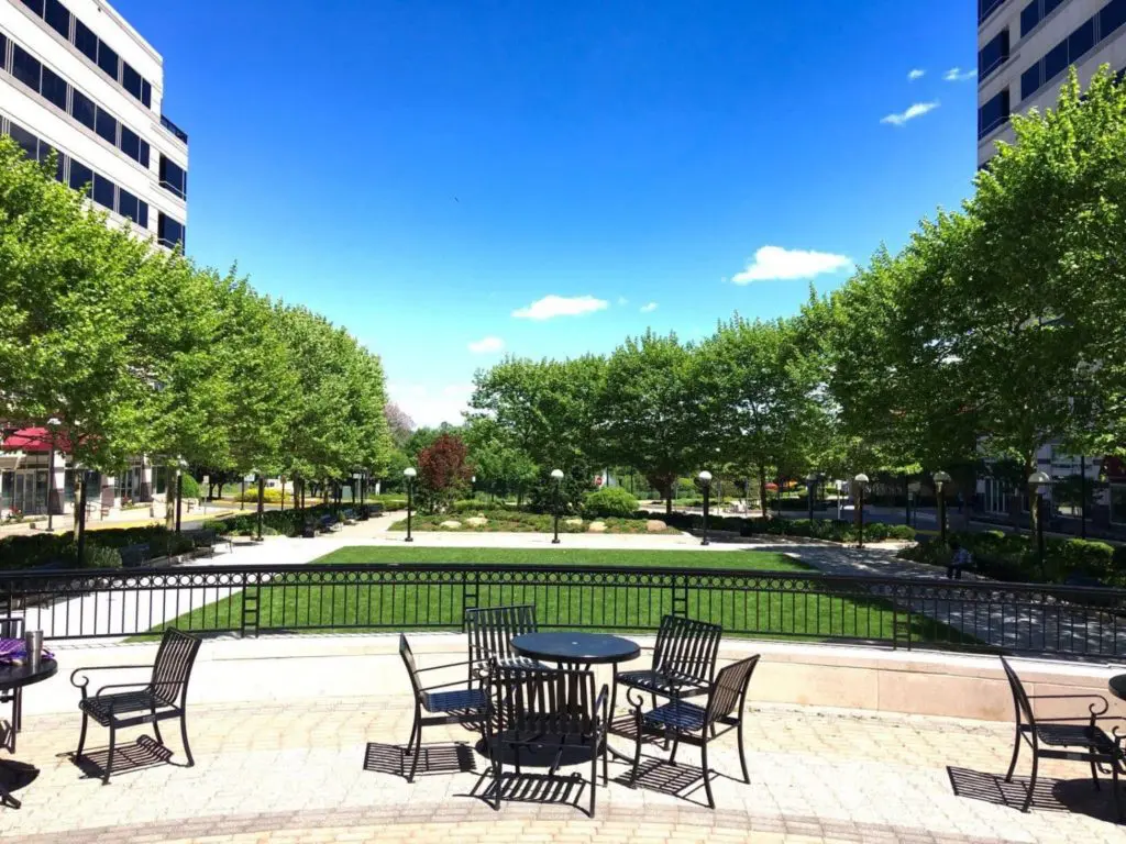 Reston photo 5