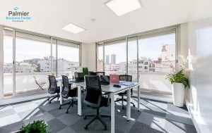 Palmier Business Center photo 2