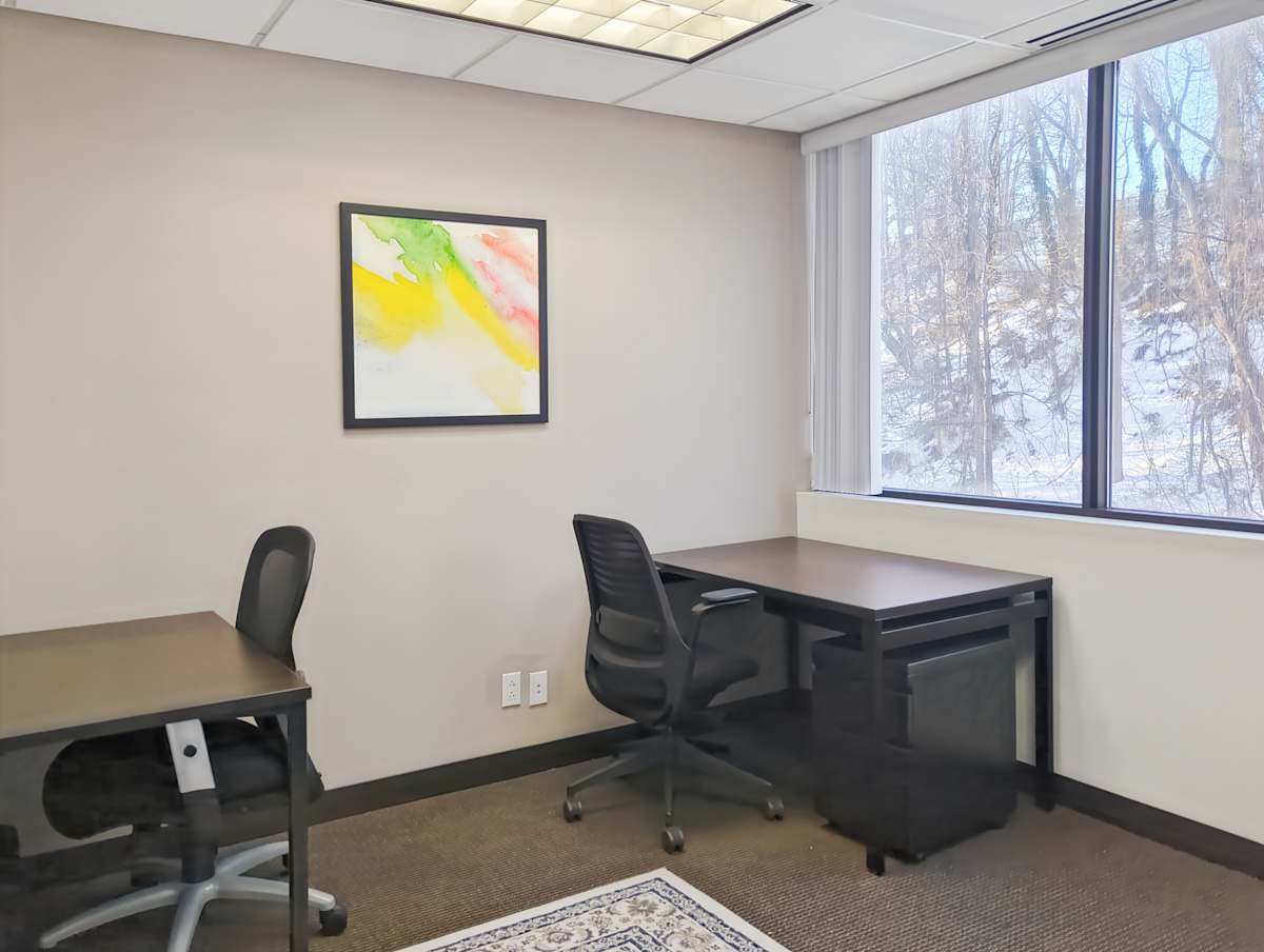 1129 Northern Boulevard photo 3