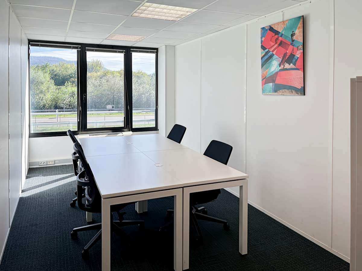 29 Boulevard des Alpes photo 6