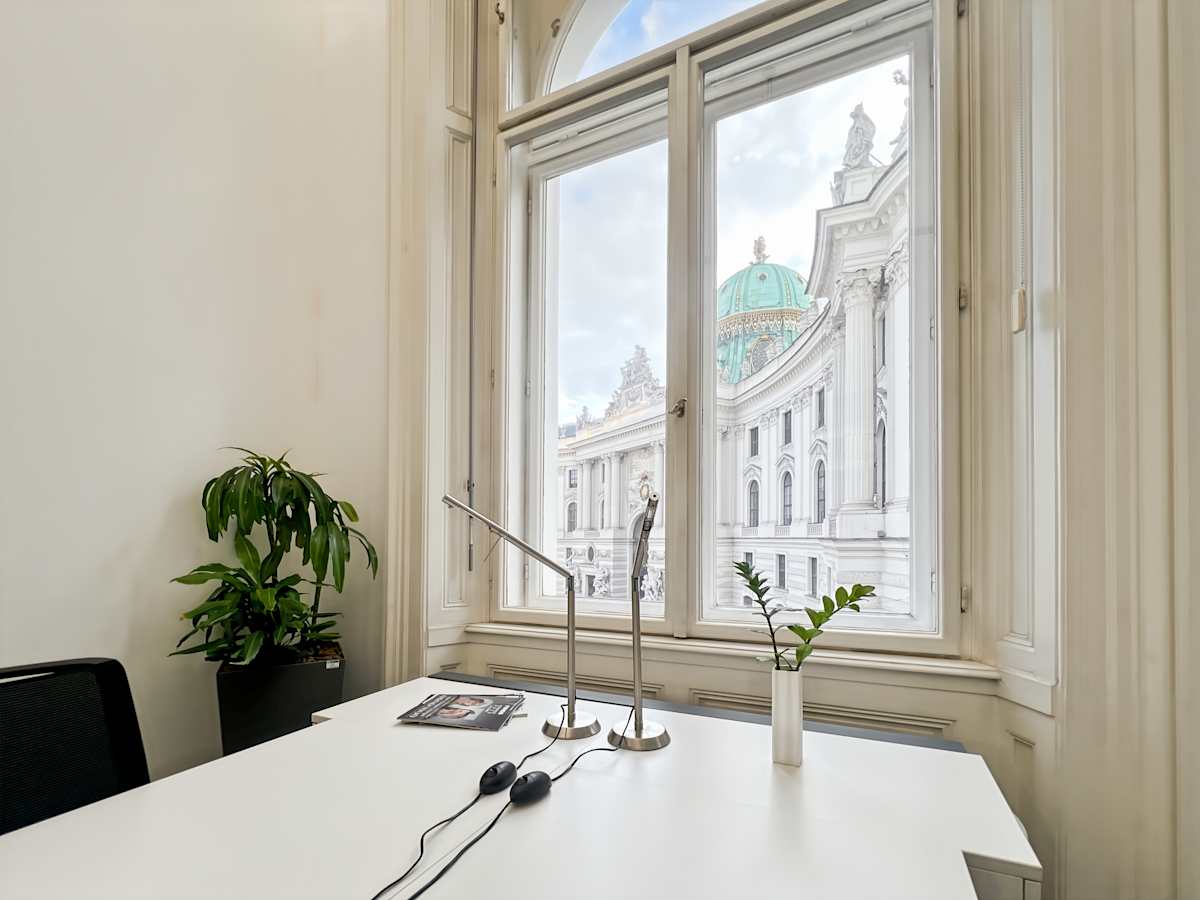 Le Palais photo 6