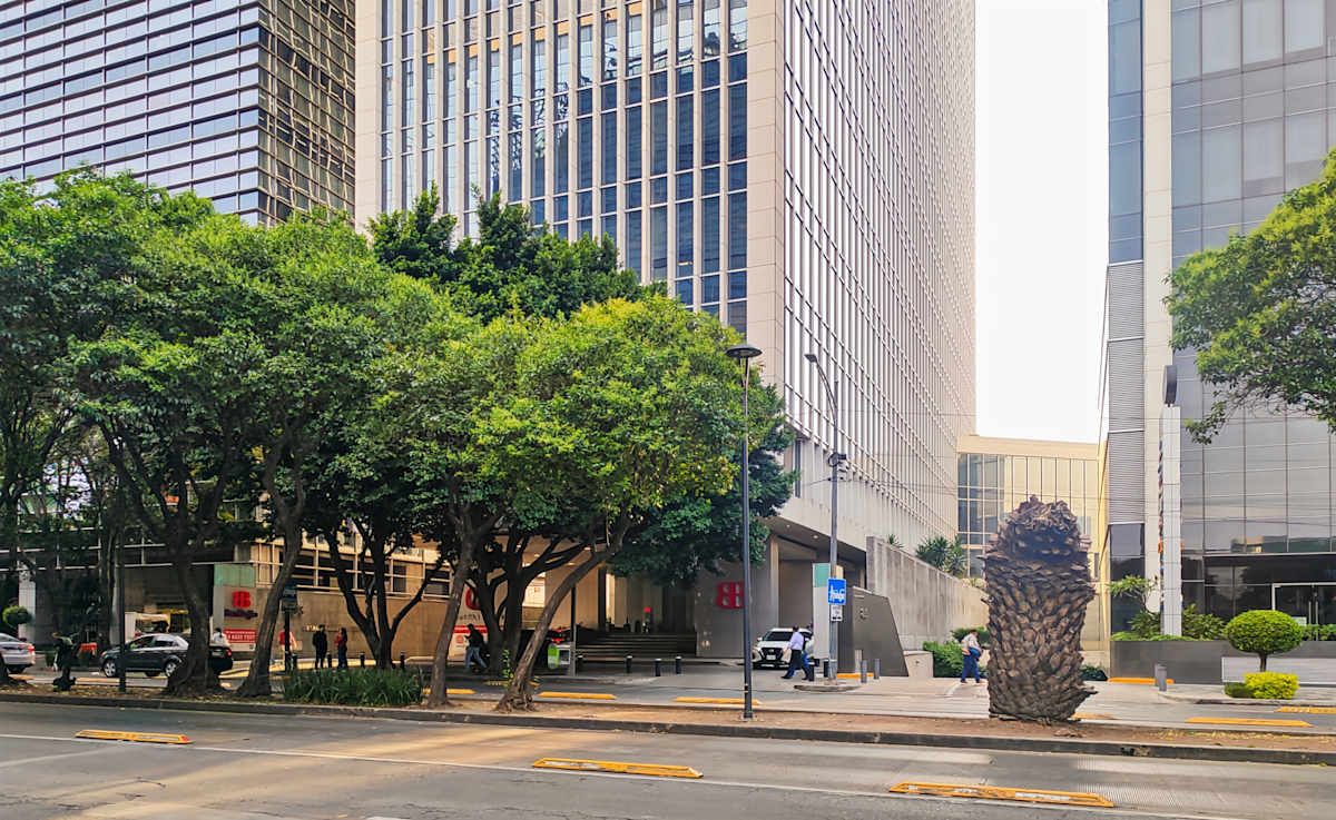 Corporativo Napoles Tower photo 5