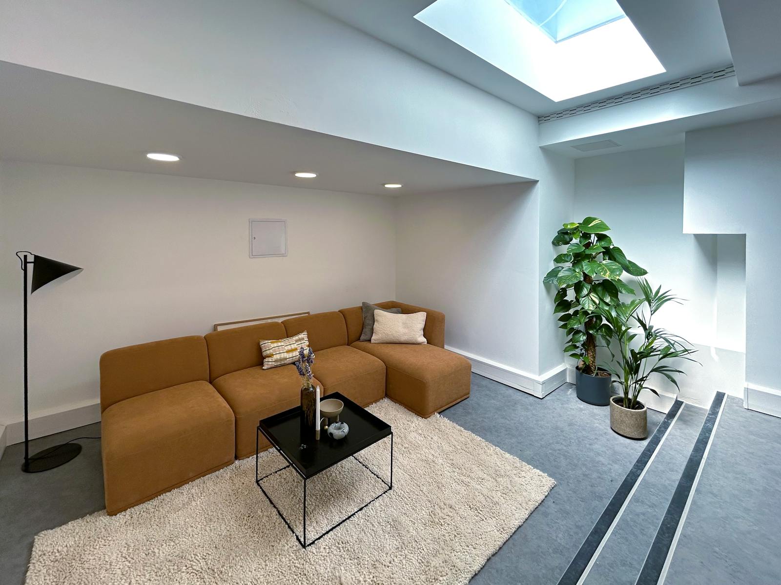 15 Adeline Place photo 11