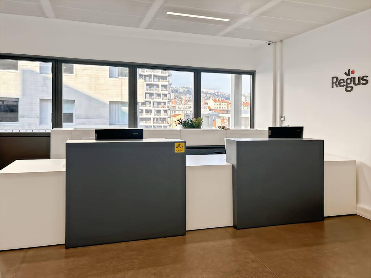 Regus Lyon Confluence photo 2