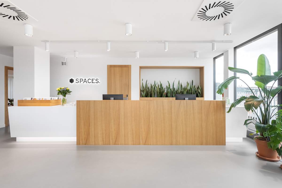 Spaces - Albatros photo 2