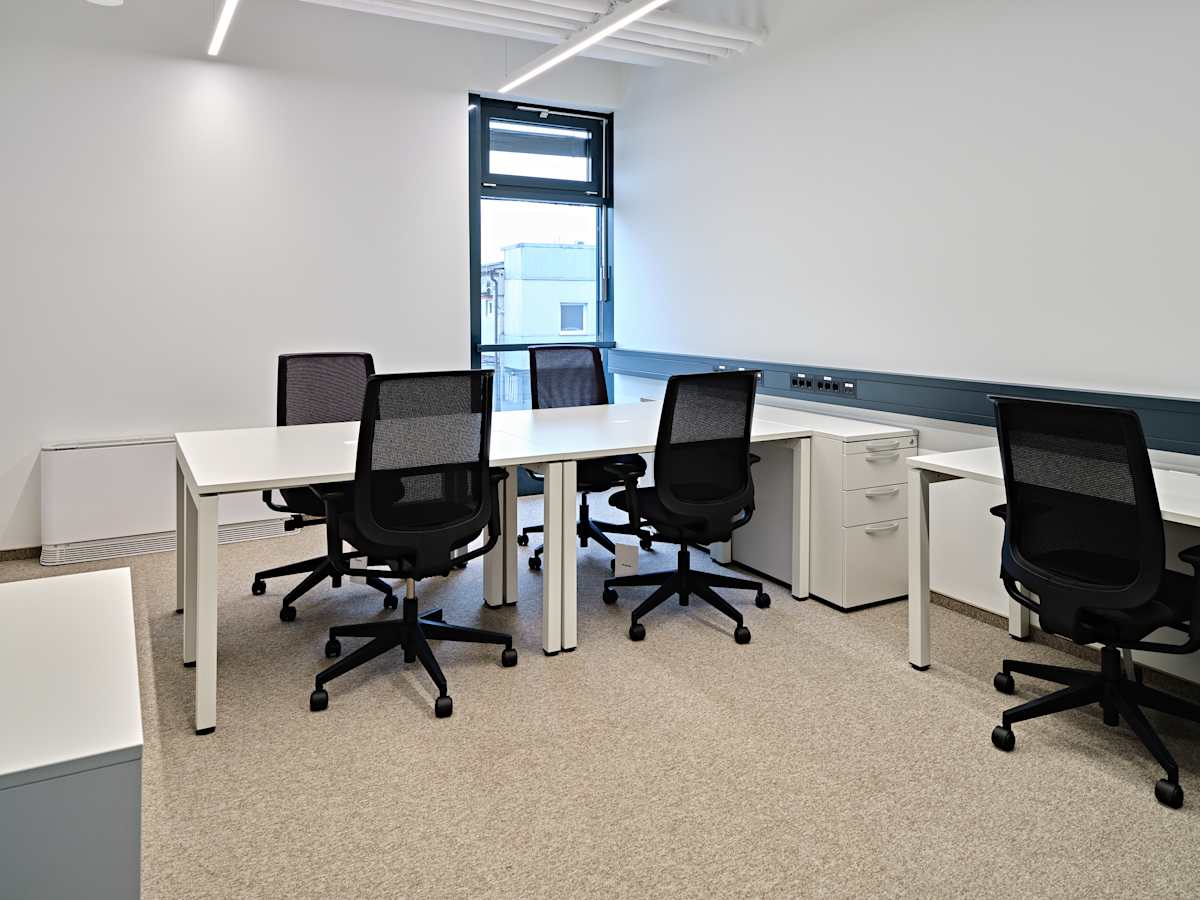 Feniks photo 8