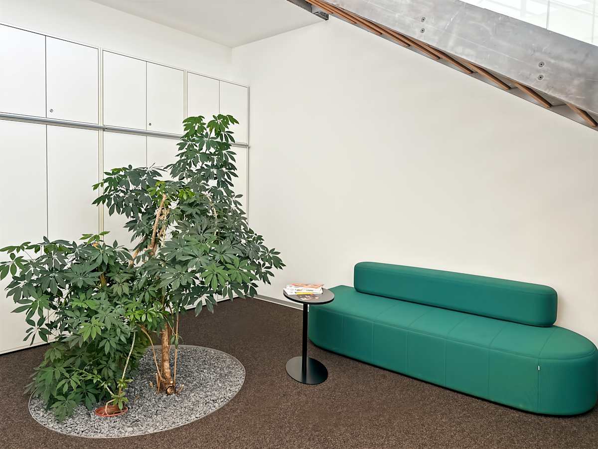 Hall Haus photo 10