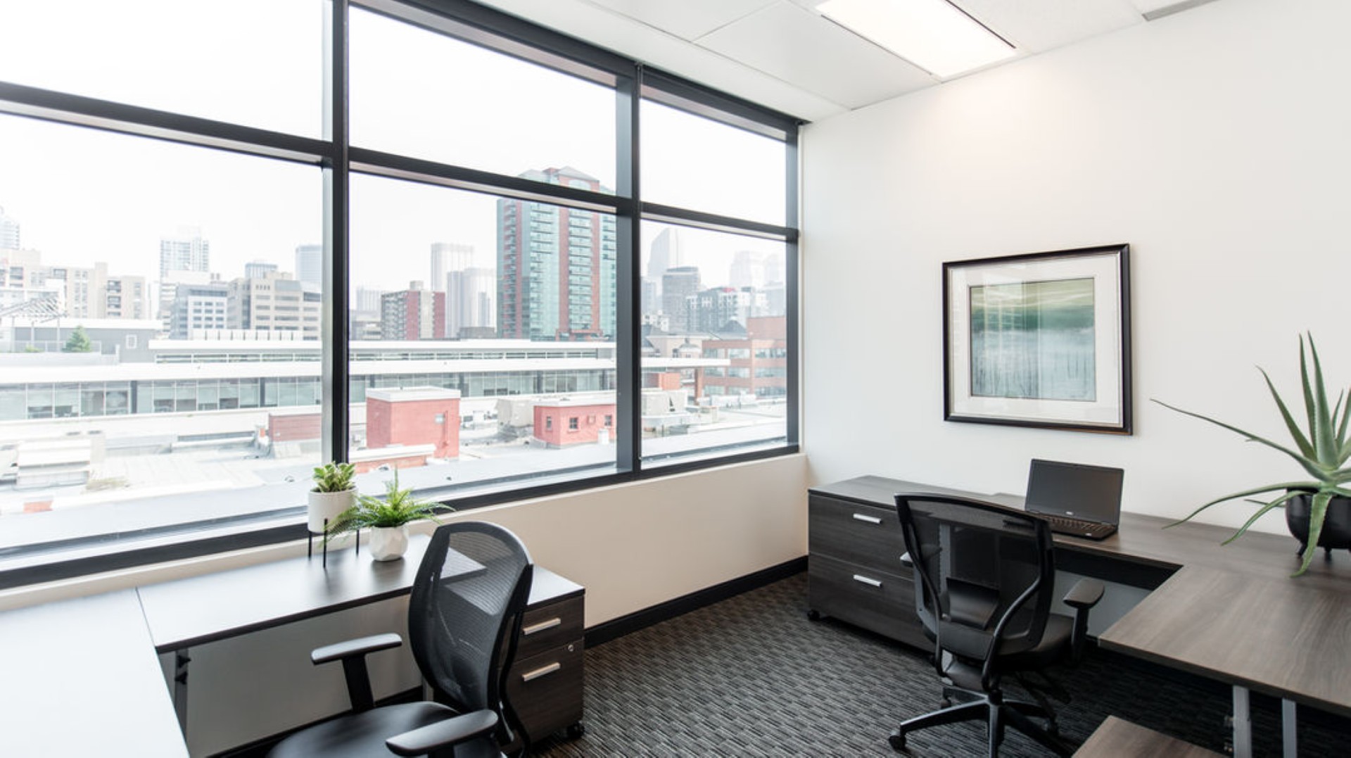 Mount Royal Executive Centre ​ photo 6