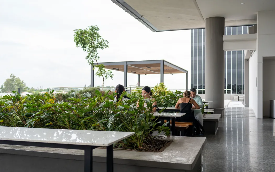 Campus Corporativo photo 7