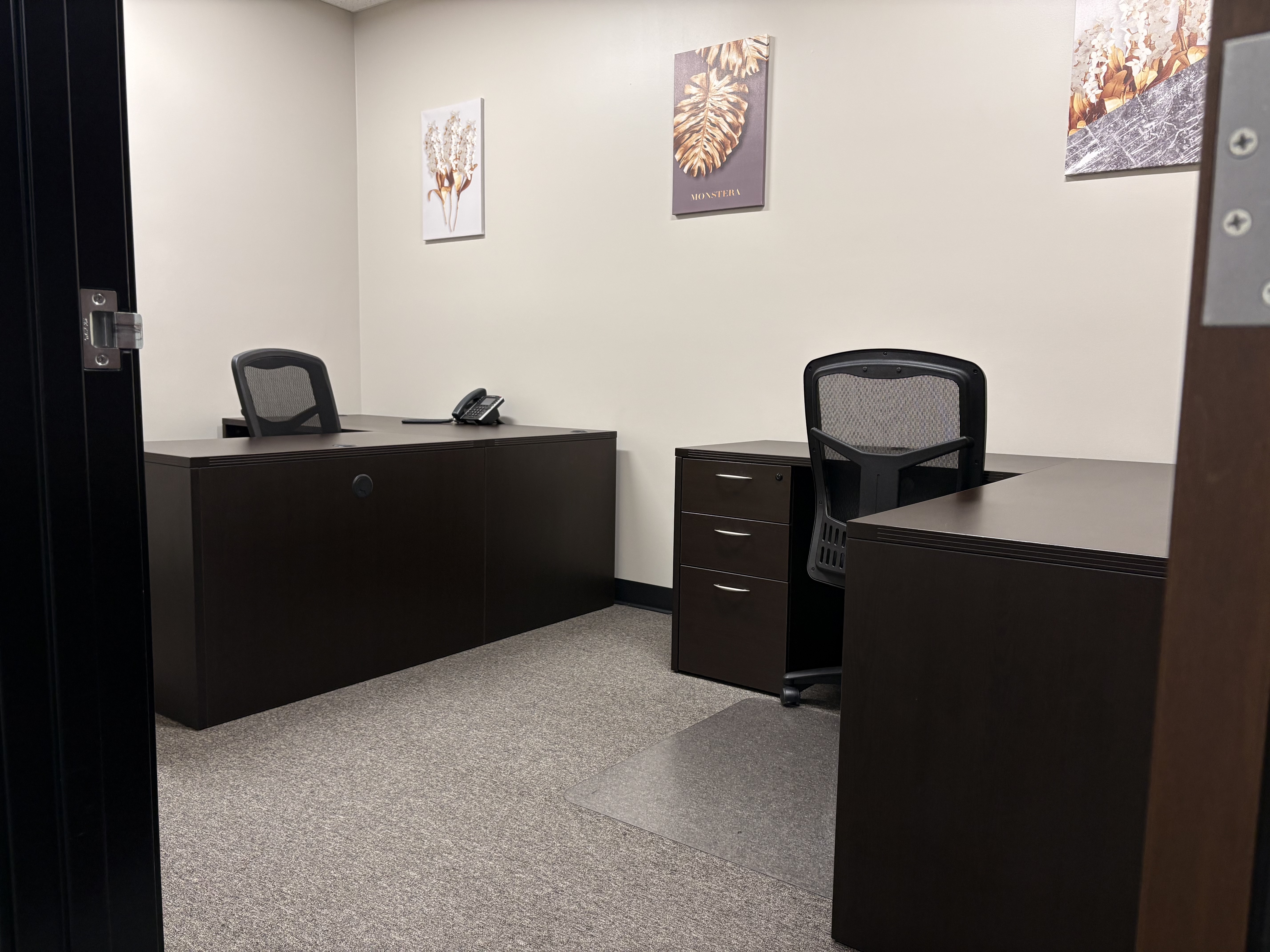 Succeed Professional Suites - Roseville photo 3