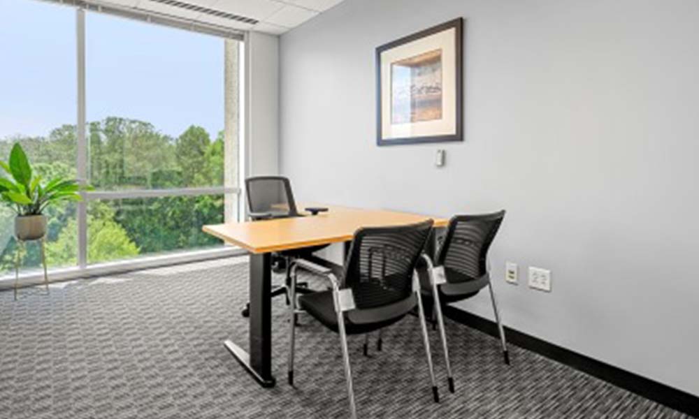Peachtree Offices - Alpharetta