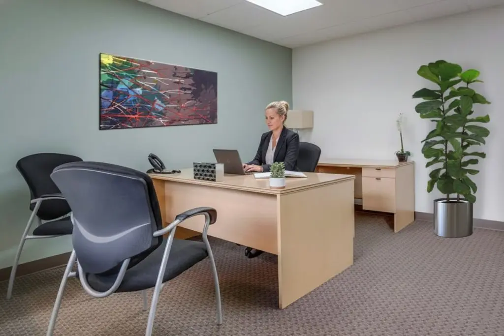 Torrance Executive Plaza photo 2