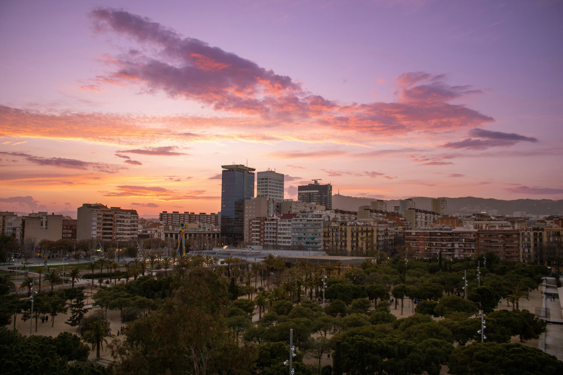 Aticco Hospitalet photo 2